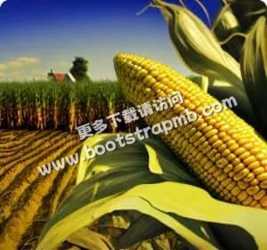 我们致力于提供最全面的世界杯赛事信息 - 世界杯投注anruikai